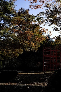 皇子山公園の紅葉