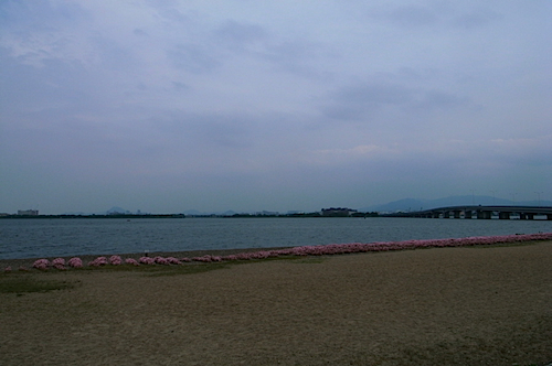琵琶湖