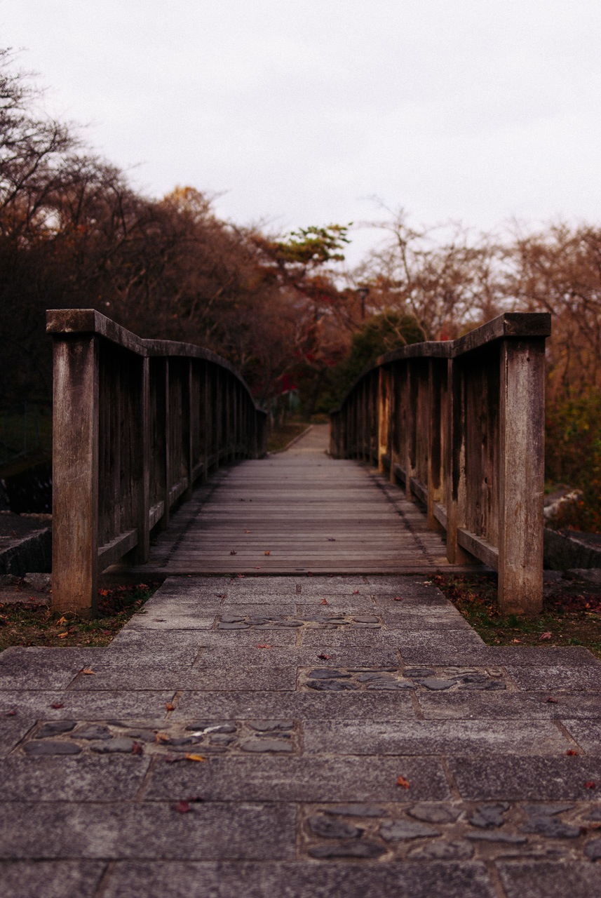 bridge