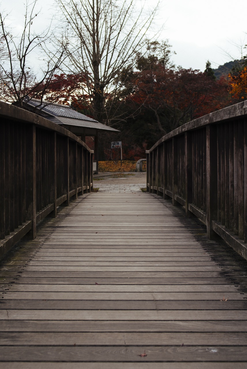 bridge