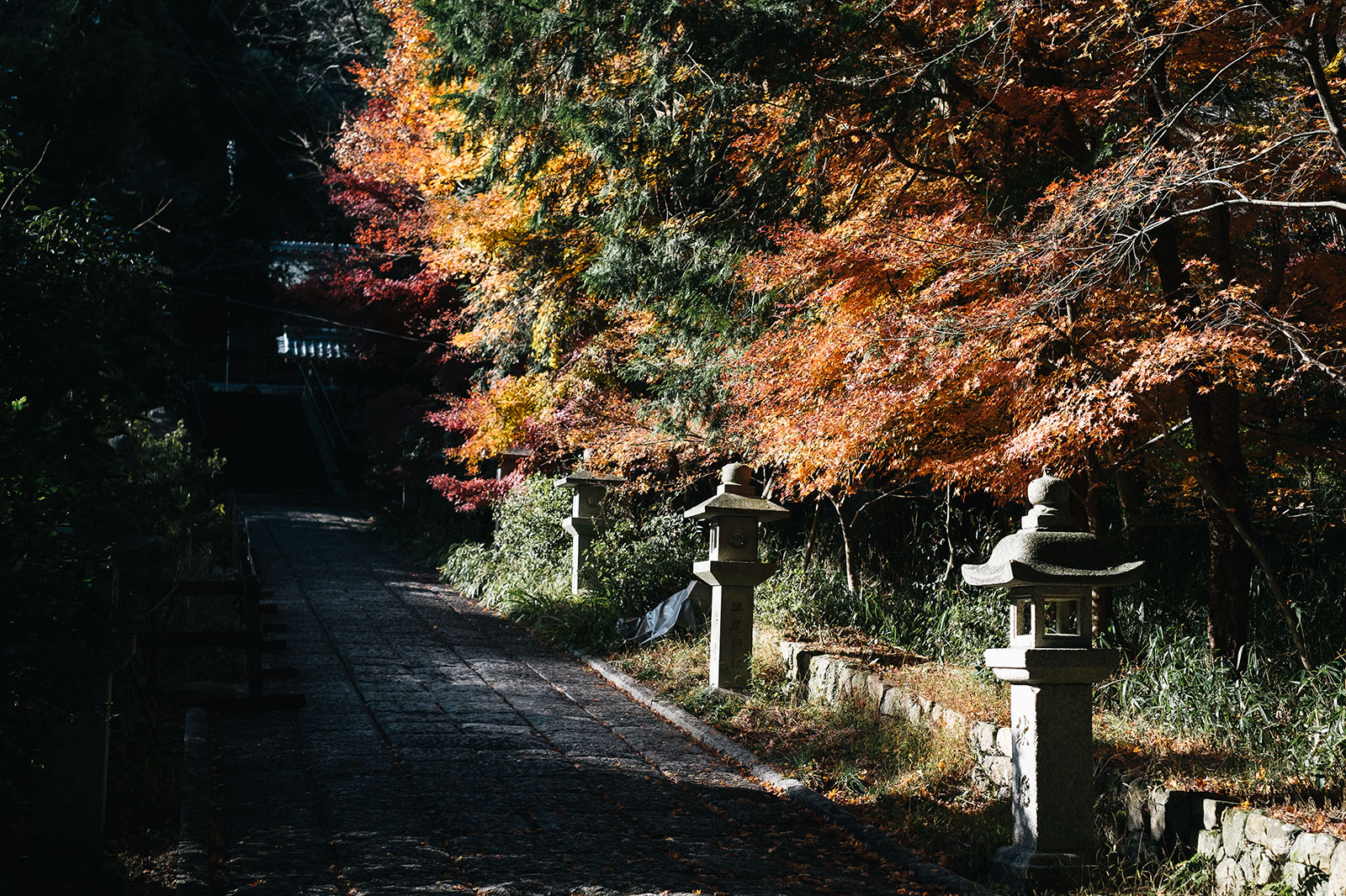 紅葉