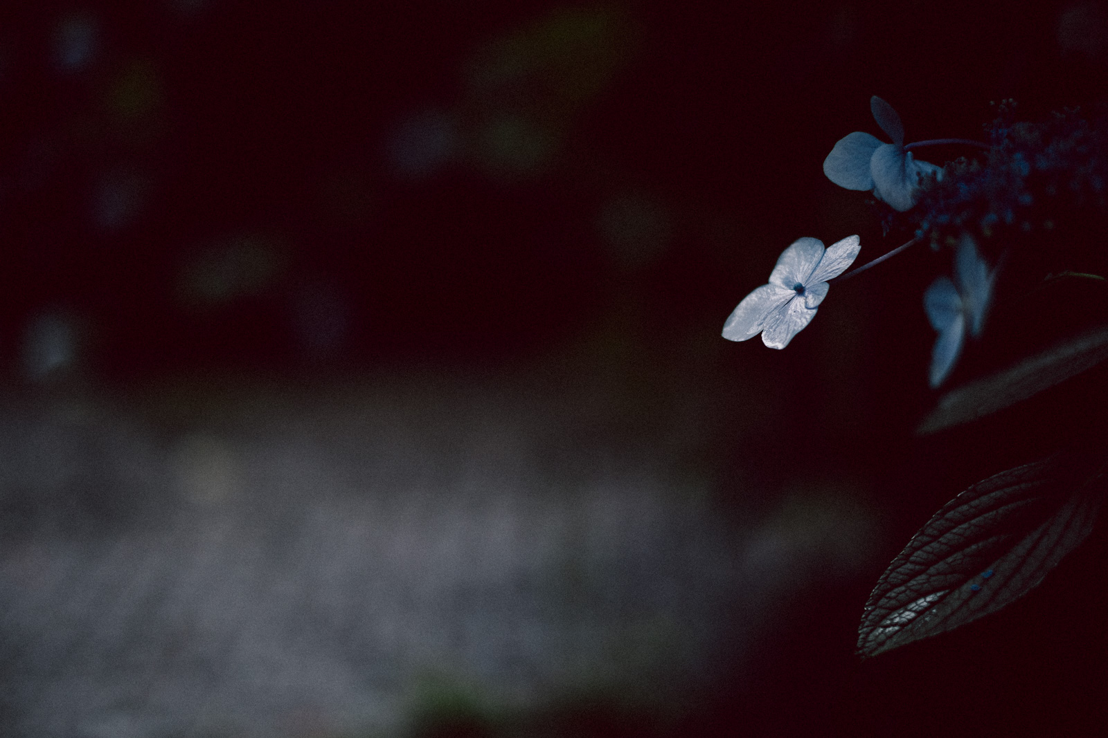 空虚